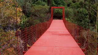 Durante inspección del Puente en Chimarrasnero del año en curso,