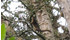 Thumb 70 bosque de santa martha de cuba 015