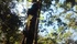 Thumb 70 20161102 090356