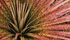 Thumb 70 unnamed