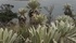 Thumb 70 dsc07889